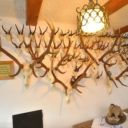 Apartamento Fischerhof *